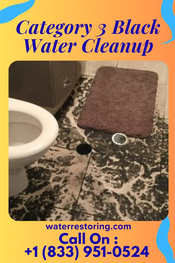 Category 3 Black Water Cleanup in Dowelltown, TN