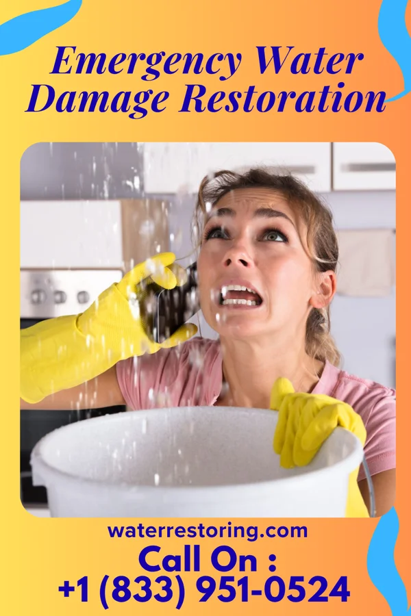 Emergency Water Damage Restoration in Dowelltown, TN