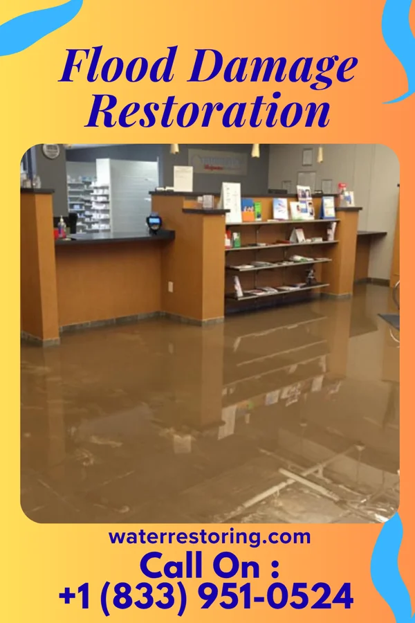 Flood Damage Restoration in Dowelltown, TN