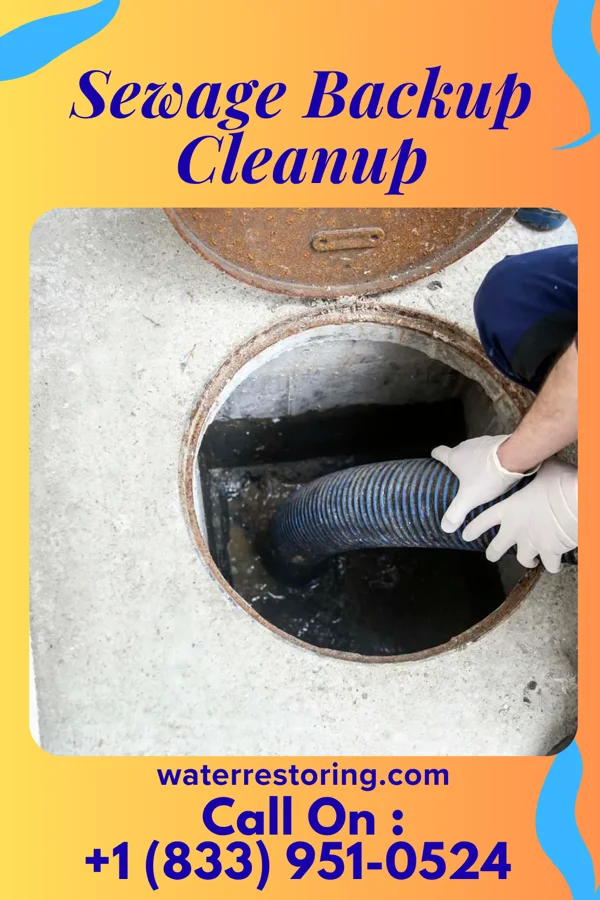 Sewage Backup Cleanup in Dowelltown, TN