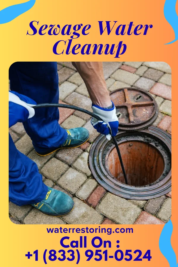 Sewage Water Cleanup in Dowelltown, TN